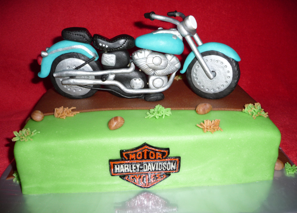 (č.117) Dort-Harley Davidson